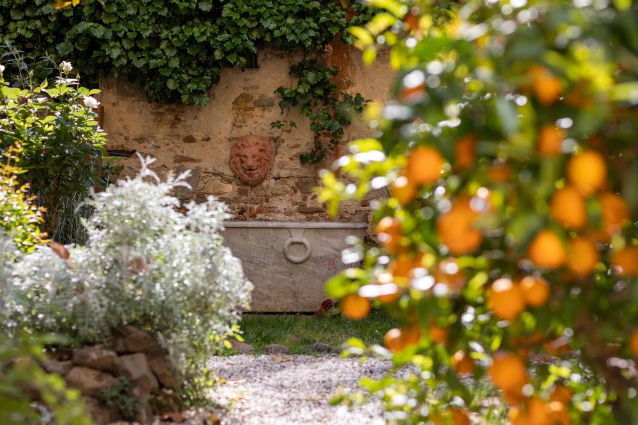 Secret Garden Firenze B&B エクステリア 写真