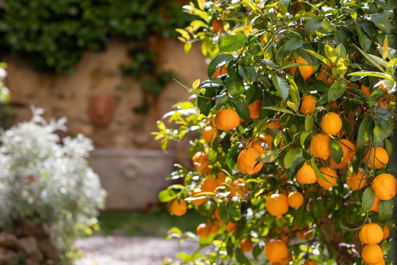 Secret Garden Firenze B&B エクステリア 写真