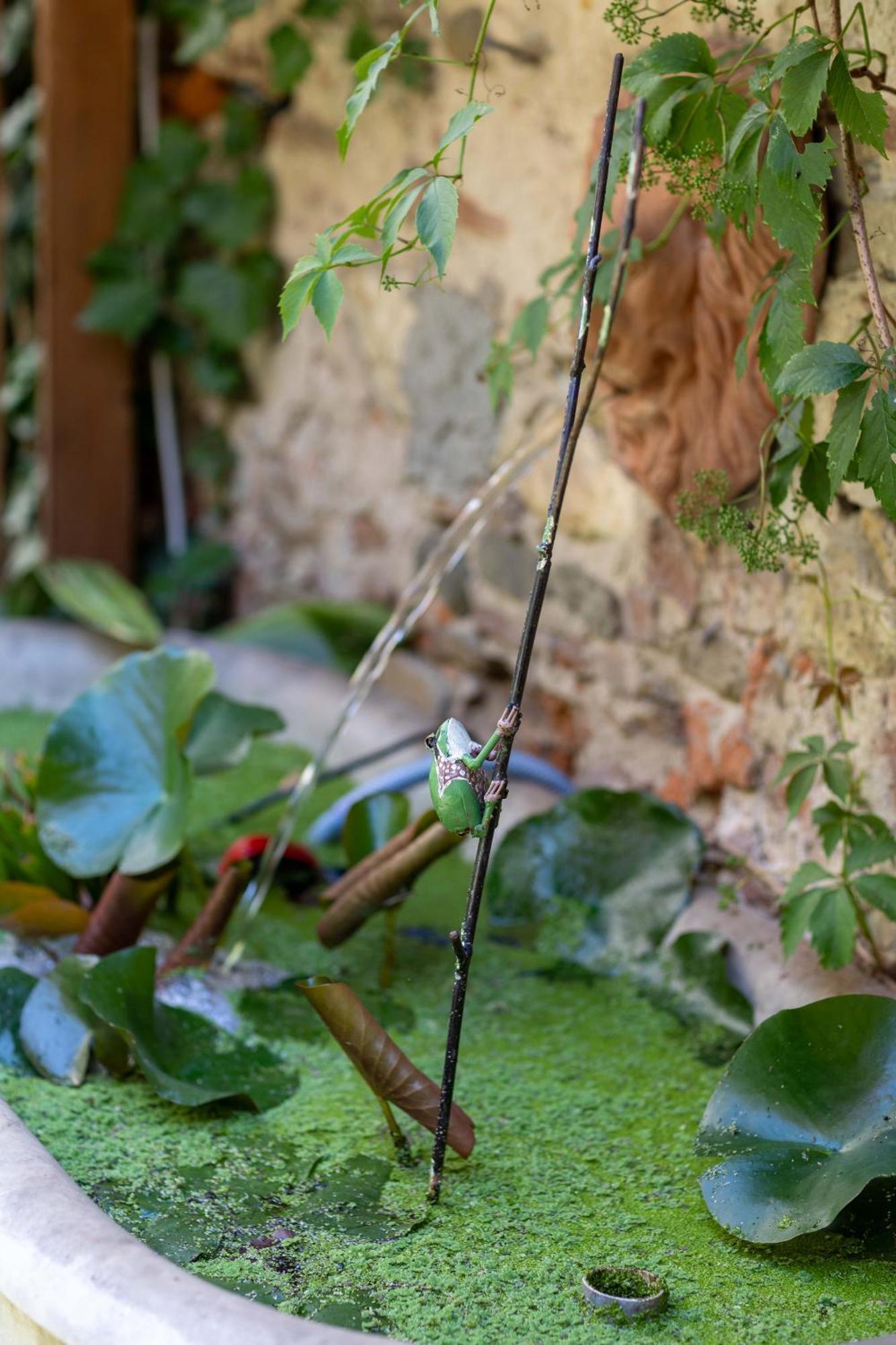 Secret Garden Firenze B&B エクステリア 写真